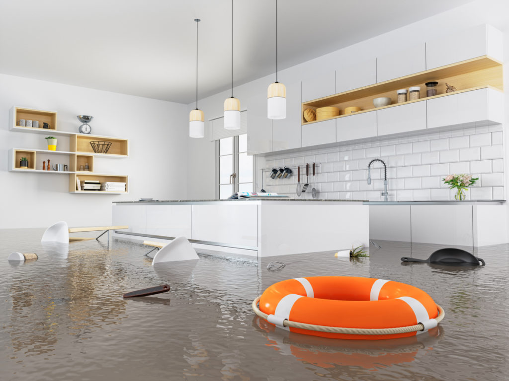 Lifebuoy floating in a flooded kitchen