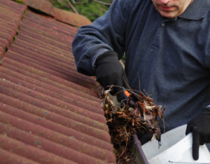 Royal Oak Rental Property Owner Cleaning the Gutters for Spring Cleaning