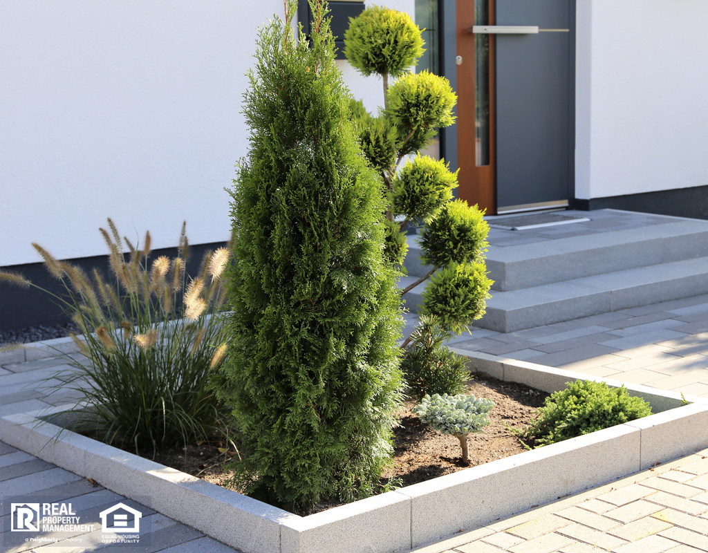 Modern Xeriscaping Design in Front Yard with Trees and Shrubs