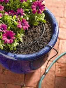 Tips for Conserving Water