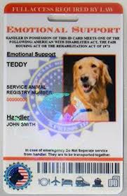 Service Animals