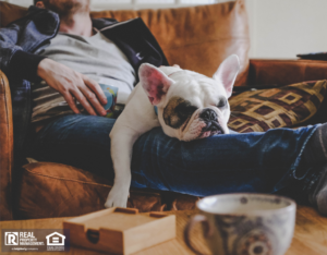 Pflugerville Tenant Spending a Lazy Afternoon with Their Dog