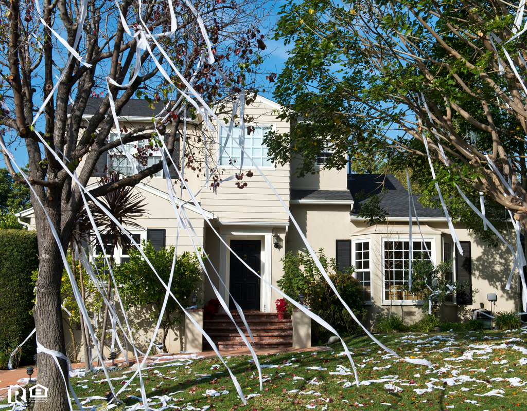 Bangor Rental Property with Toilet Paper in the Trees