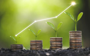 Seedlings growing on stacks on coins with concept of growth and profit